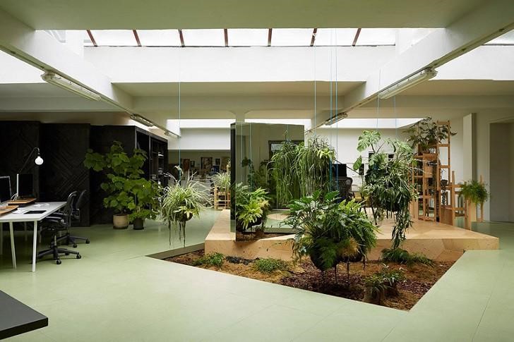 Interior Garden