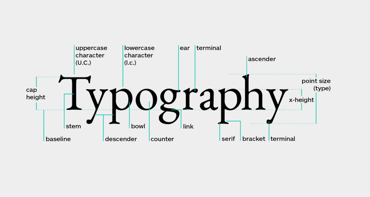 Components of typography